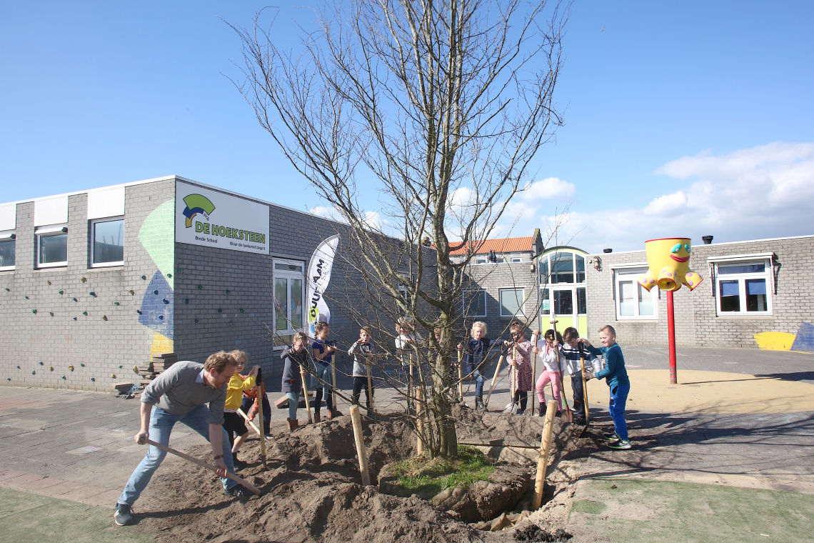 Leerlingen van De Hoeksteen planten samen met wethouder Sebastian Dinjens een boom